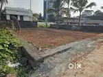 5.50 Cent Residencial Plot For Sale Vennala Palarivattom.
