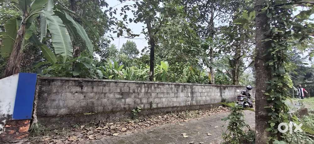 13 CENT HOUSE PLOT FOR SALE NEAR PATTIMATTOM