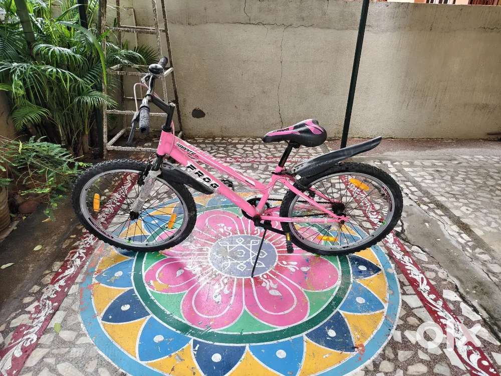 Frog Cycle