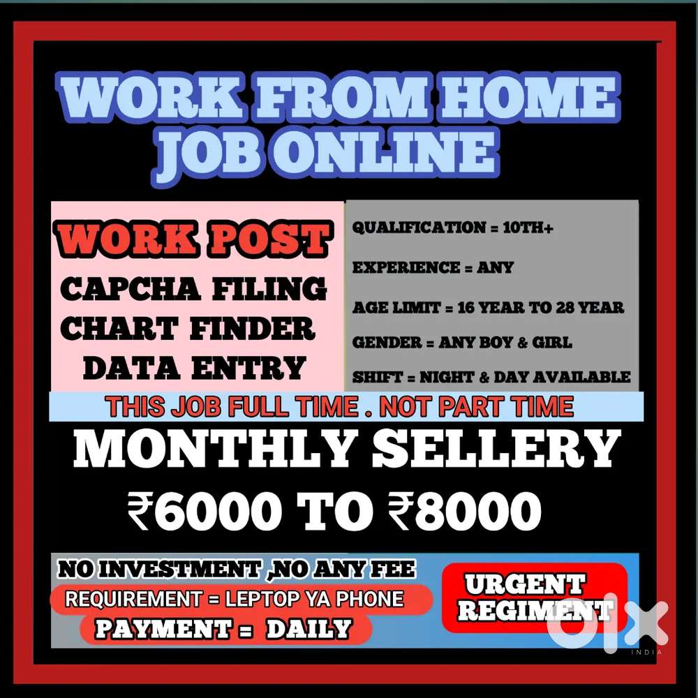 Work From Home Online Job Data Entry D16