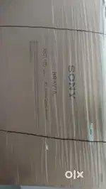 Sony 65 Inch TV