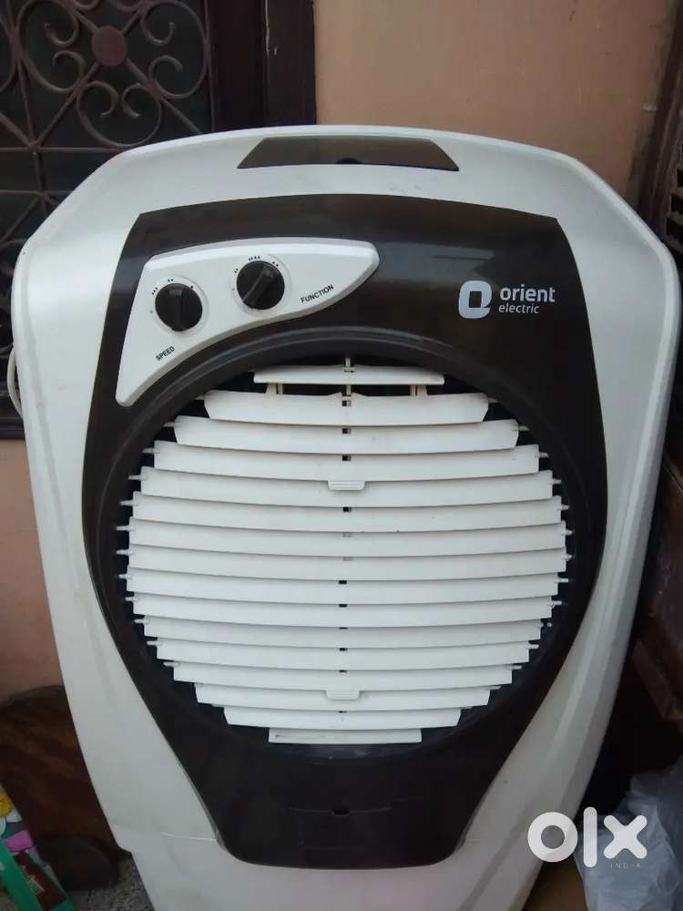 NEW COLLER 1 MONTH OLD AND THIS COMPANY IS VERY NICE ORIENT