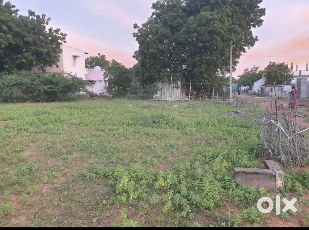 Asariya nagar, next to ambrose school, megnanapuram, house area