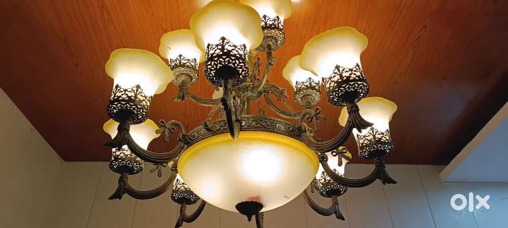 Jhoomer/glass Chandelier with 15 led light bulb