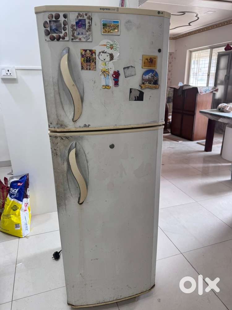 LG expresscool Fridge - 300 litre - double door