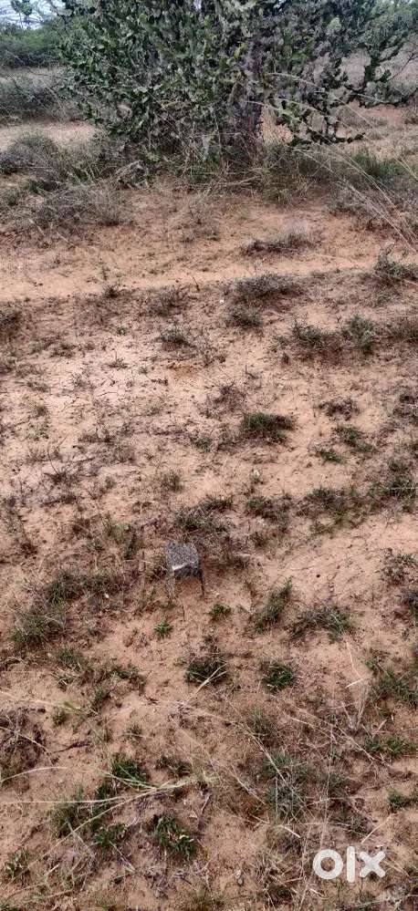800 cent land for sale