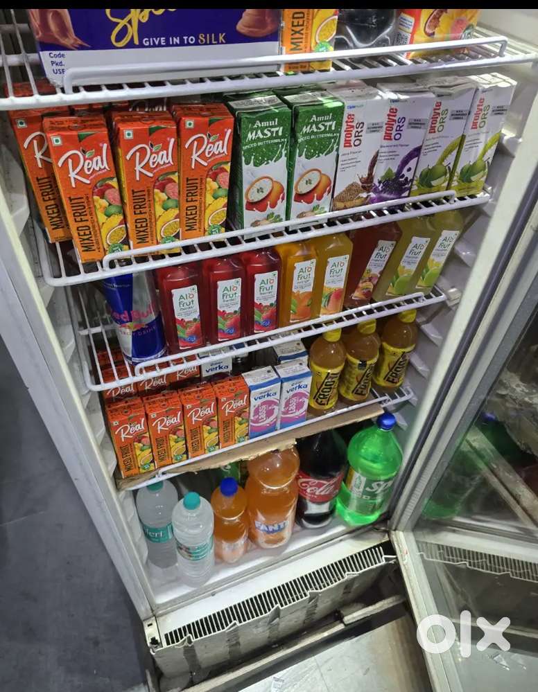 Single door upright Freezer