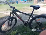 AVON Gen Now Cycle