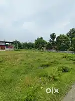 1 bigha Miyadi Patta land for sale