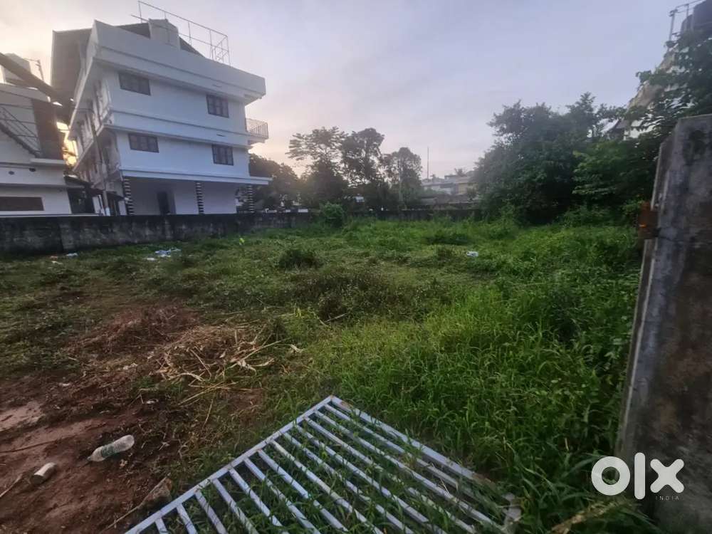 Aluva Rajagiri hospital 12cent land for sale