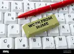 NEED FEMALE BACK OFFICE EXECUTIVE