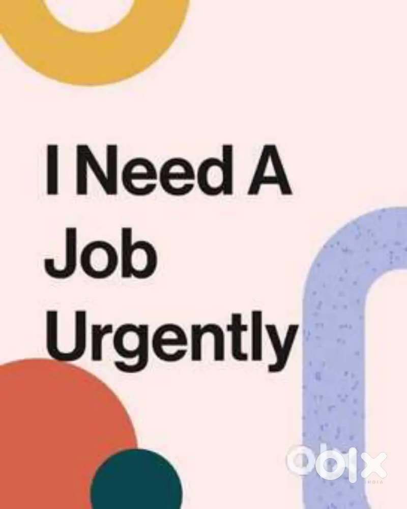 I am a all types car and commercial car driver need part time job
