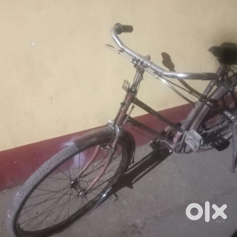 Urgent sale for cash gudda cycle with career all good conditio