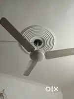 Ceiling Fan