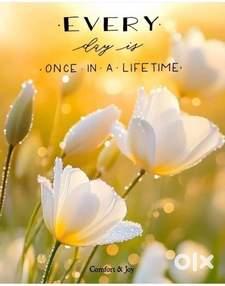 For rent ground floor