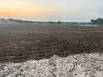 Agriculture land for sale