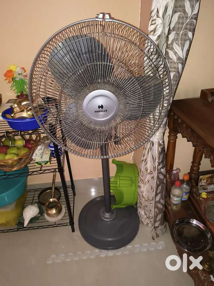 Fan at nardrepur