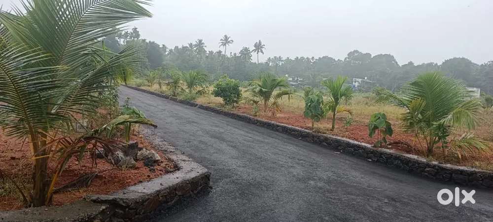 ANGAMALY NEAR APPOLO HOSPITAL BEAUTIFUL HOUSE PLOTS FOR SALE