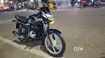 Platina for rent