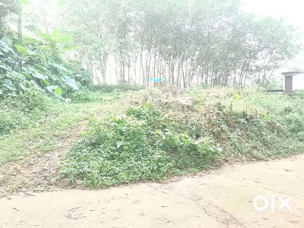 10 സെന്റ് ഹൗസ് പ്ലോട്ട് വസ്‌തു വില്പനക്ക്