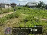 Open plot sale