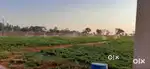 Farm with farm house