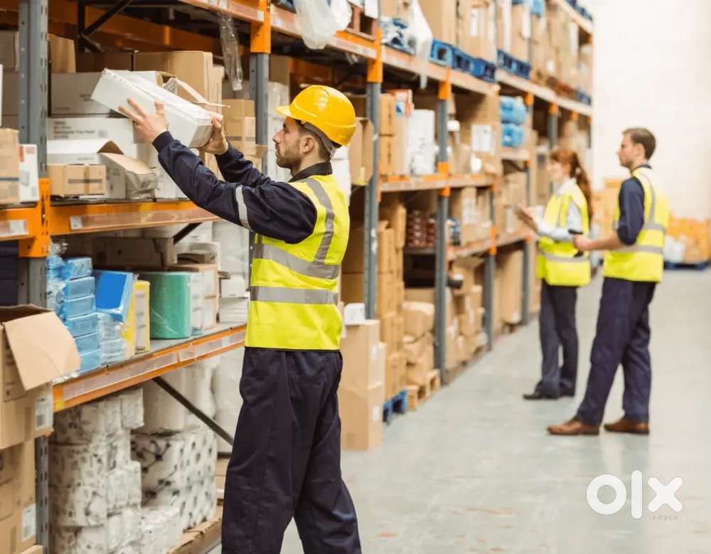 PACKING SCANNING VACANCY AVALABLE IN LUCKNOW APPLY NOW