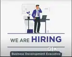 Business development Executive