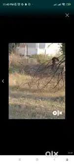 Land for sale in Umbraj karad