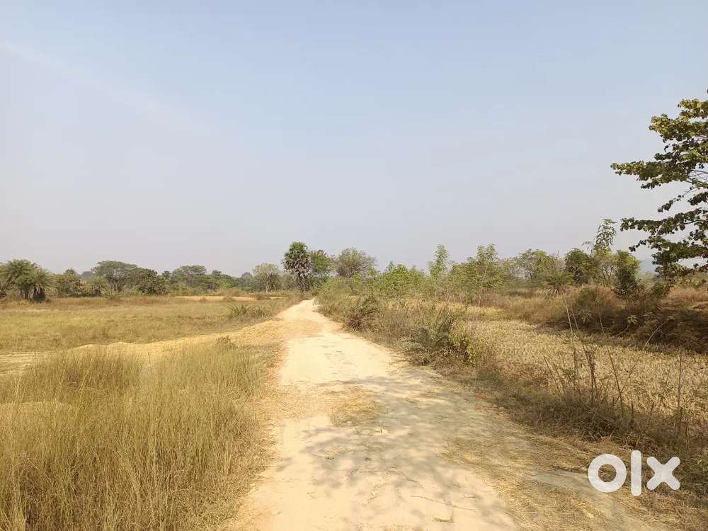 Investment Opportunity: 10 Bigha Land with Clear Papers
