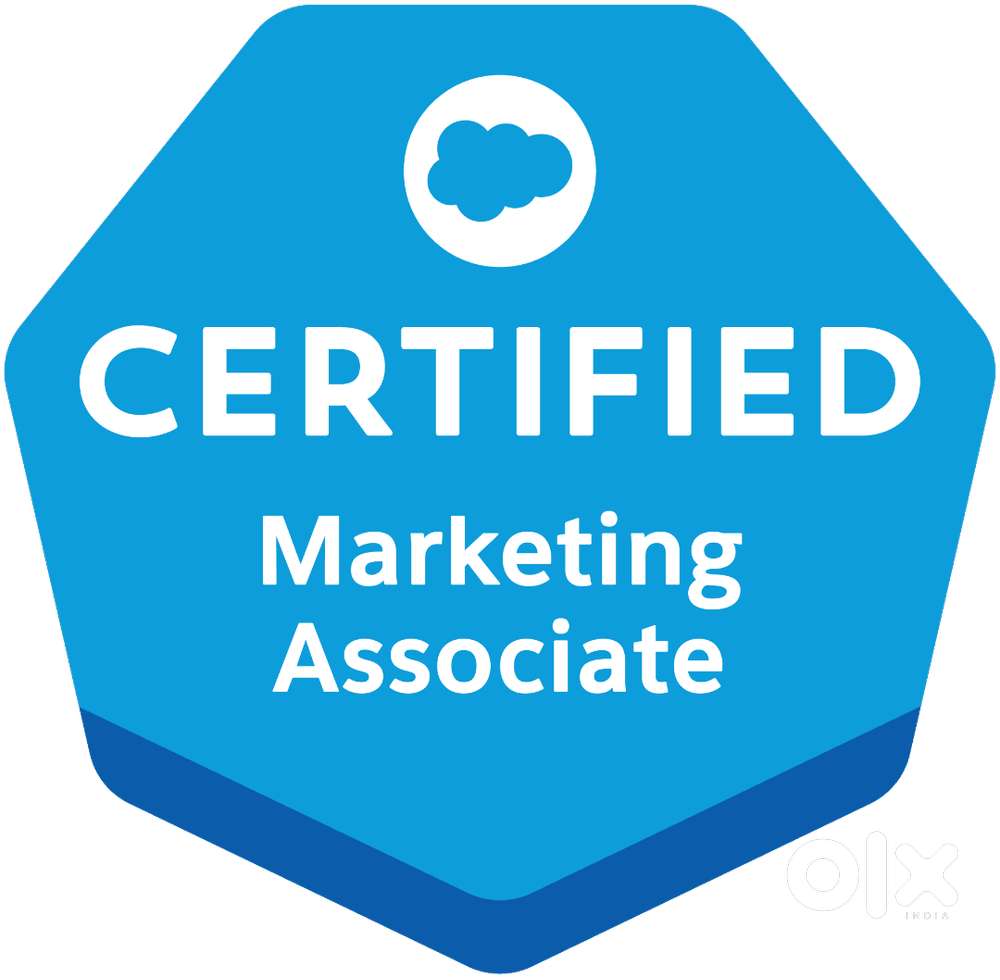 Marketing Assosiate