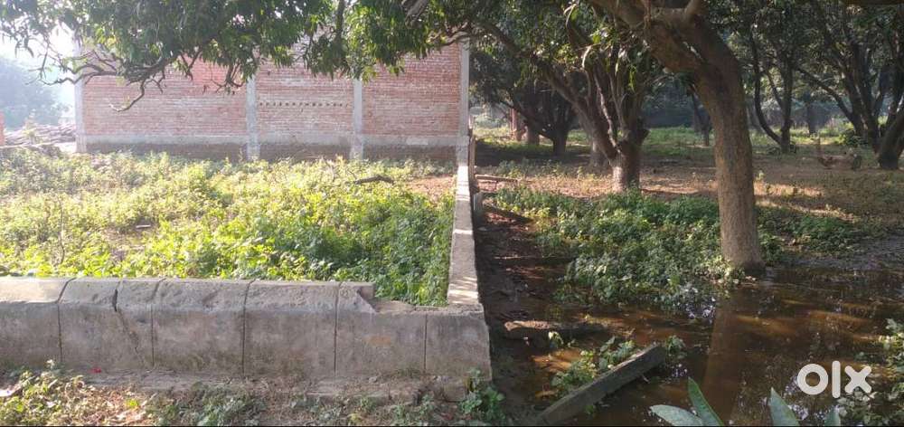Residential Plots in Chandrika Devi Lucknow