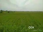 34 Cent Road touch