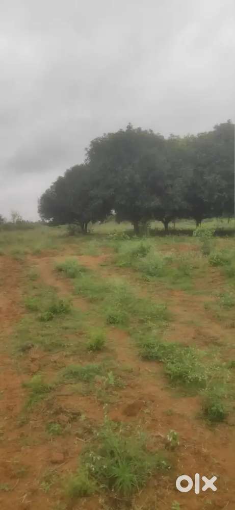 1 acre 16 gunte Land for sale