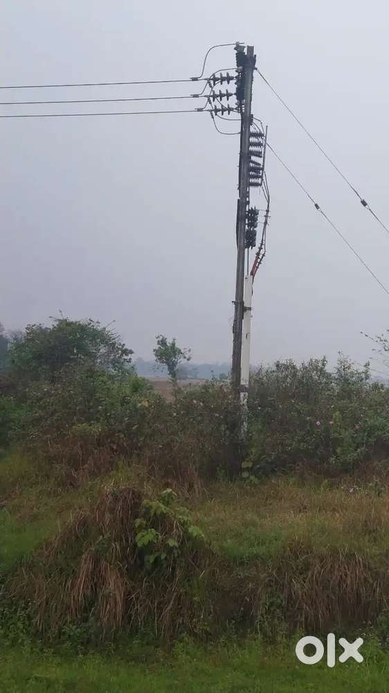 75  par biga. Ter garden