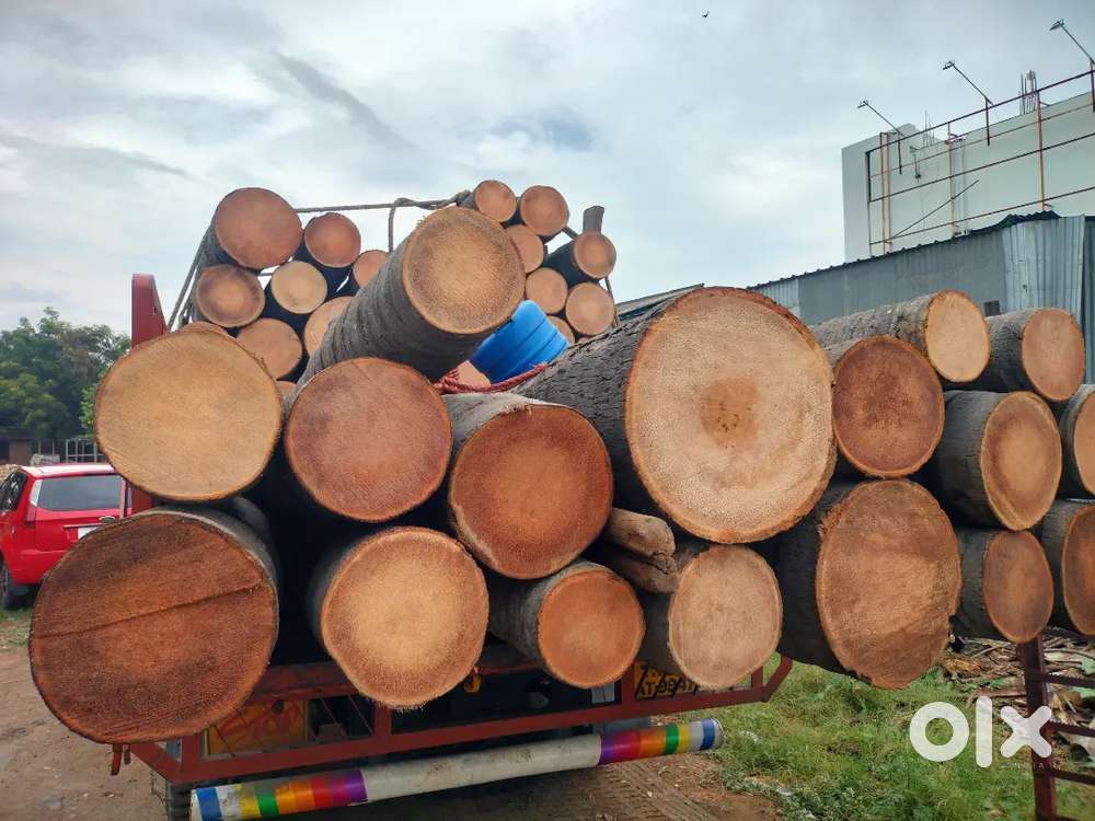 Wood work helper for saw mill