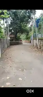 5.5 .5cent land for sale anayara 100m from main road