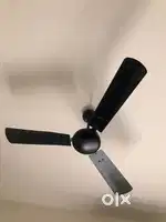 Ceiling fan