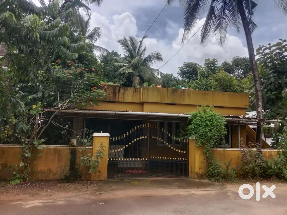 House for rent/Sale