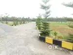 Bhogapuram. Commercial open plots