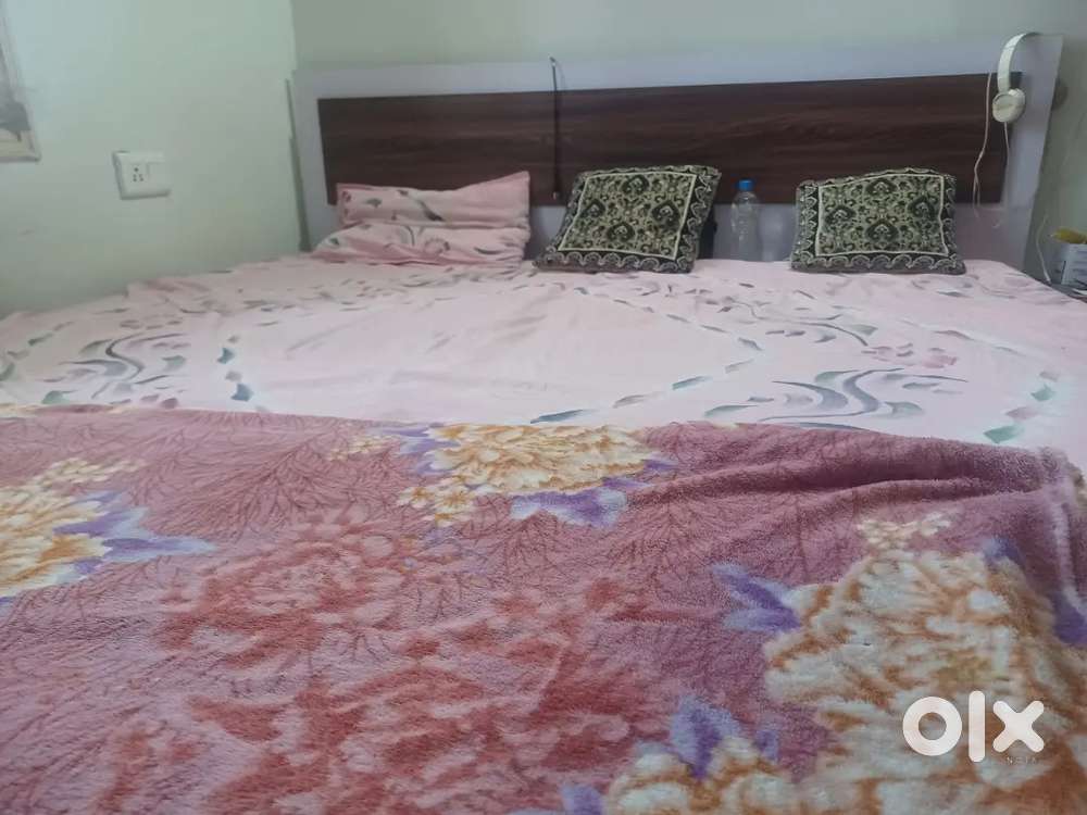 Dual bad without mattress