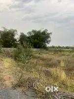 I want to sell my plot in shanti villa top covered colony in Rewa