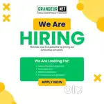 sales executive ,webdeveloper,ecom ad specialist