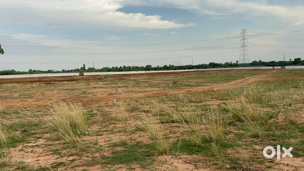 Near by punjapur bridge  low price plot  DTCP & RERA plot