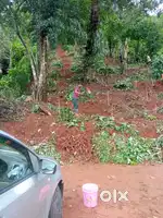 Land Sale in Adimali