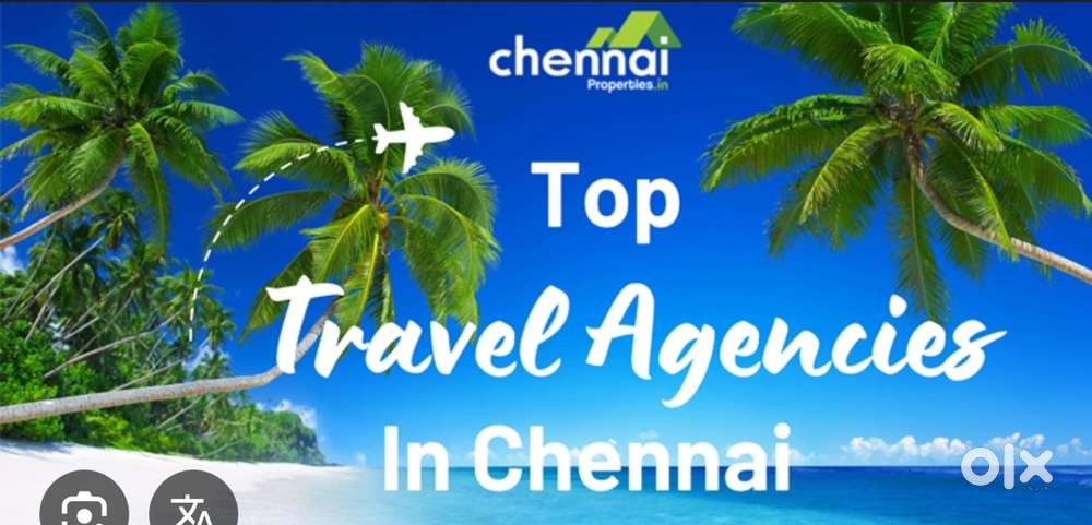 NEED ACCOUNTANT FOR TRAVEL AGENCY