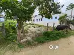 Plot for sale