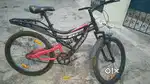 Dynaminte ZX