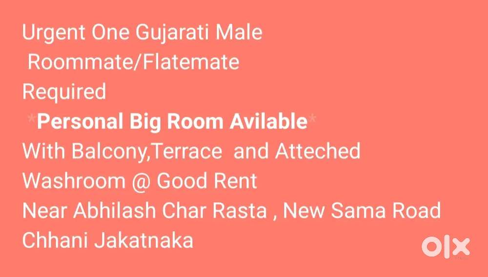 Roommate/Flatemate Required