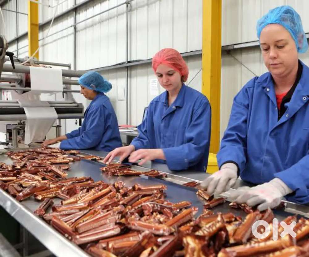 FOOD PACKING AND HELPER JOB IN LUCKNOWLOCATION